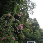 台風10号　雨　240830